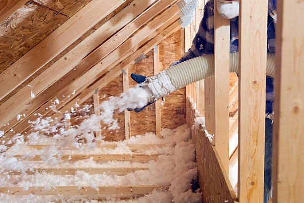 Best Spray Foam Insulation  in Le Roy, IL